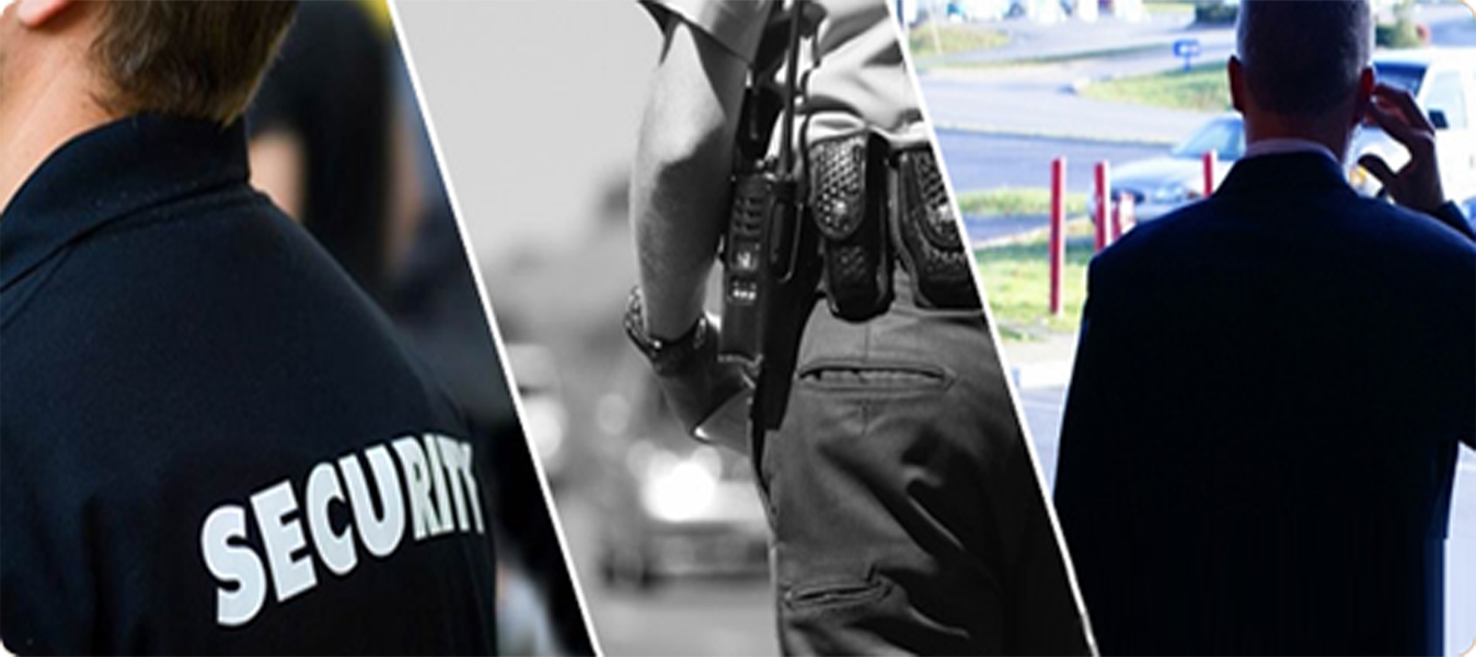 PRO 85 GROUP Security